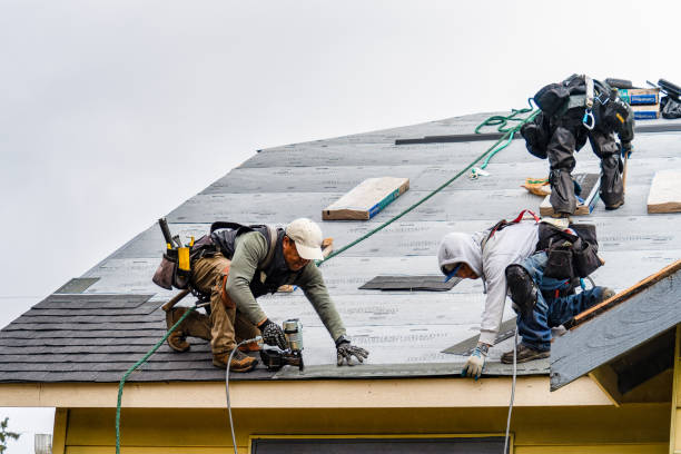 Professional Storm Damage Roof Repair technician working in Garner, IA
